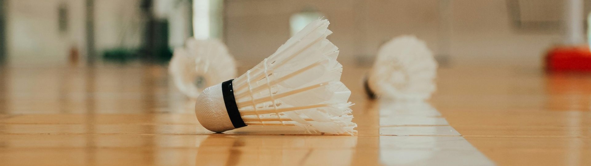 Badminton 3